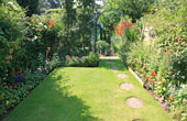 Our Garden 2012