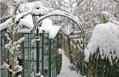 Snow in February