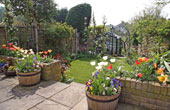 Back Gdn April 2009