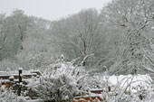 March 2008