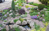Rockery April 2009